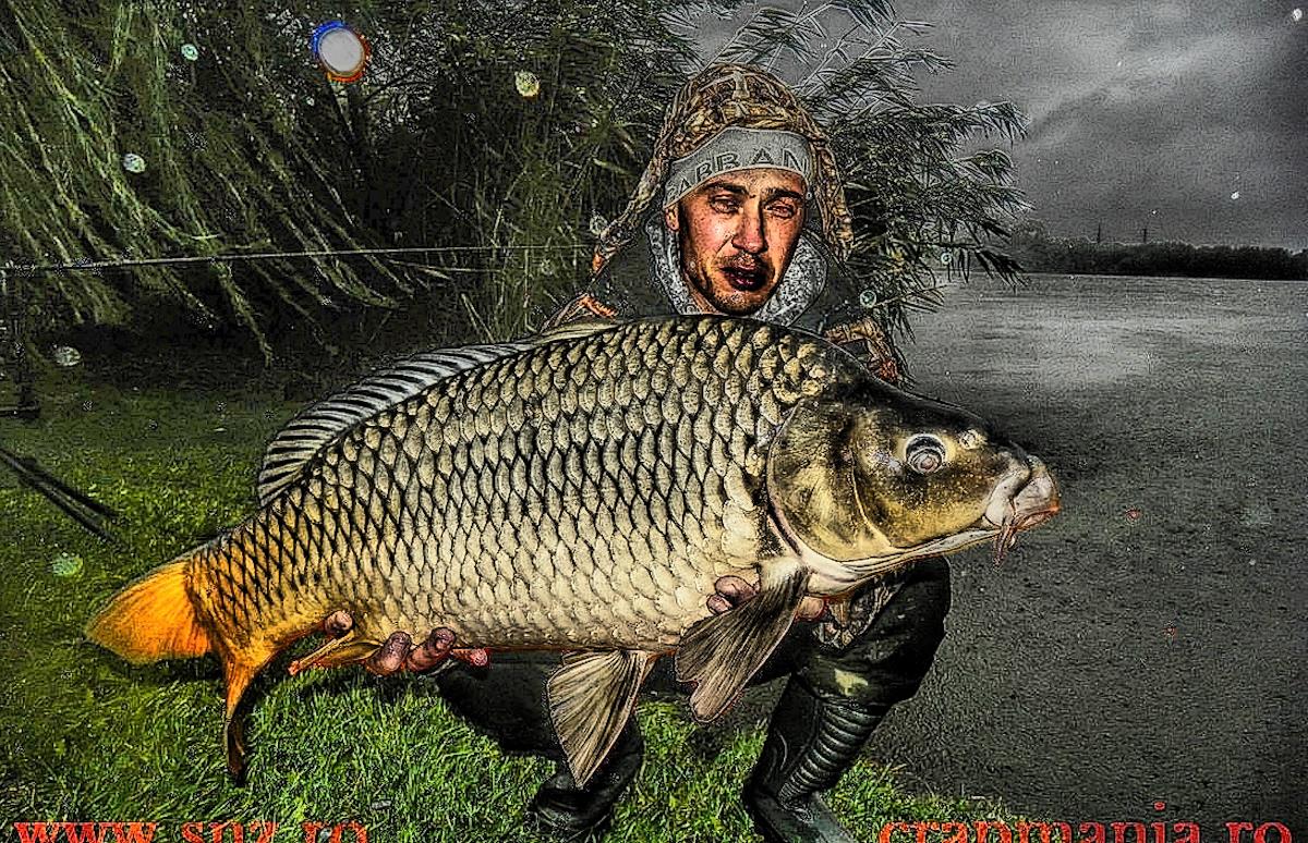 Boiliesmania 2013 - 1031273hdrmode2-2.jpg